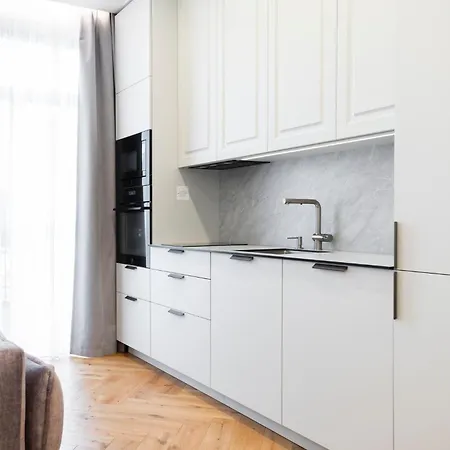 2bd,terrace, Ac, Next To Dineika Park, Brand New, By Cohost Druskieniki