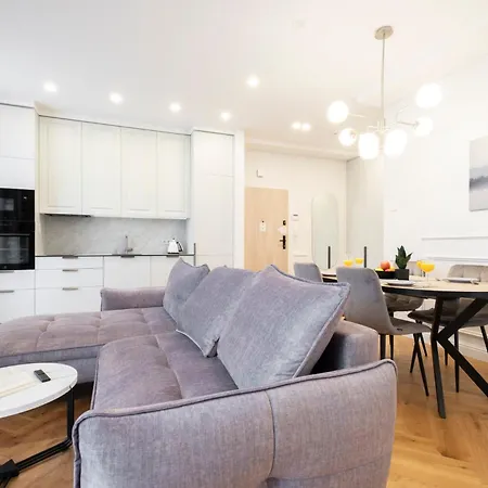 2bd,terrace, Ac, Next To Dineika Park, Brand New, By Cohost * Druskininkai