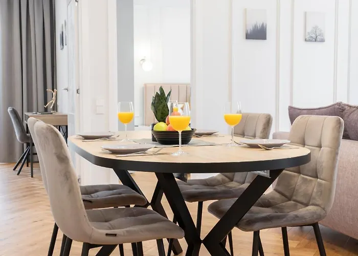 2bd,terrace, Ac, Next To Dineika Park, Brand New, By Cohost Druskininkai