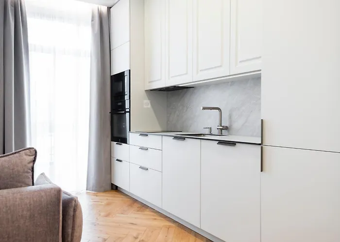 2bd,terrace, Ac, Next To Dineika Park, Brand New, By Cohost Druskininkai