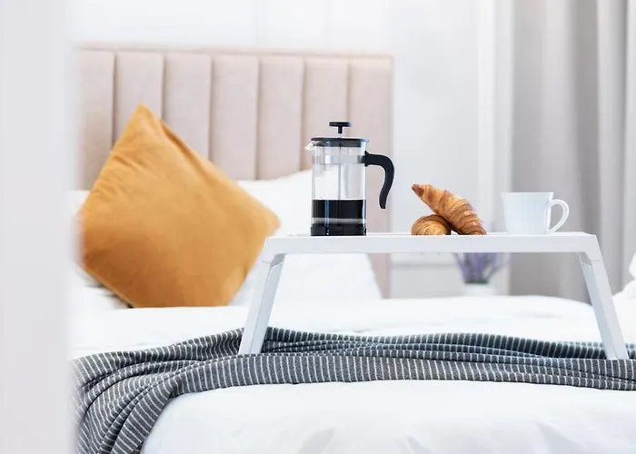 2bd,terrace, Ac, Next To Dineika Park, Brand New, By Cohost Appartement